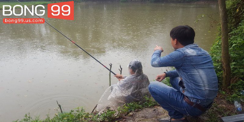 Giải Mã Giấc Mơ Câu Cá – Con Số May Mắn Giúp Bạn Thắng 3 Giải mã giấc mơ câu cá khi trời mưa