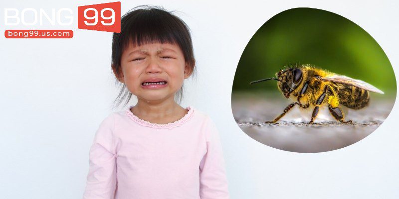 Gợi ý lô đề đẹp khi chiêm bao bị ong chích