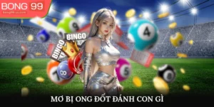 Mơ Bị Ong Đốt Đánh Con Gì Và Những Cầu Lô Đẹp Nhất Hôm Nay