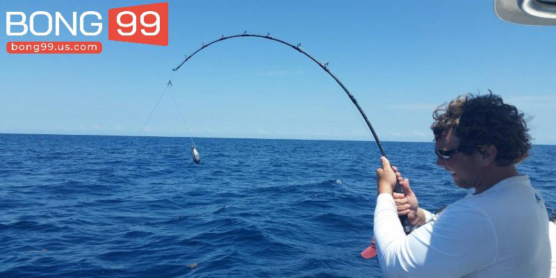 Giải Mã Giấc Mơ Câu Cá – Con Số May Mắn Giúp Bạn Thắng 2 Mơ thấy câu cá trên biển