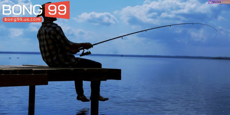 Giải Mã Giấc Mơ Câu Cá – Con Số May Mắn Giúp Bạn Thắng 1 Một số thông tin và giấc mơ câu cá