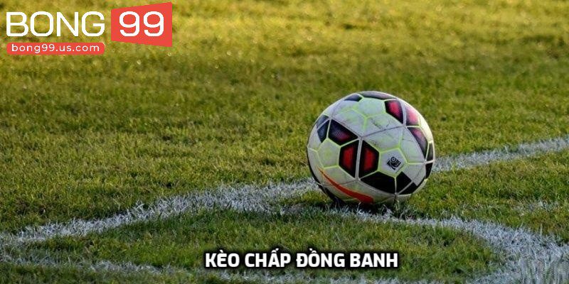 Tham gia cược đồng banh thú vị