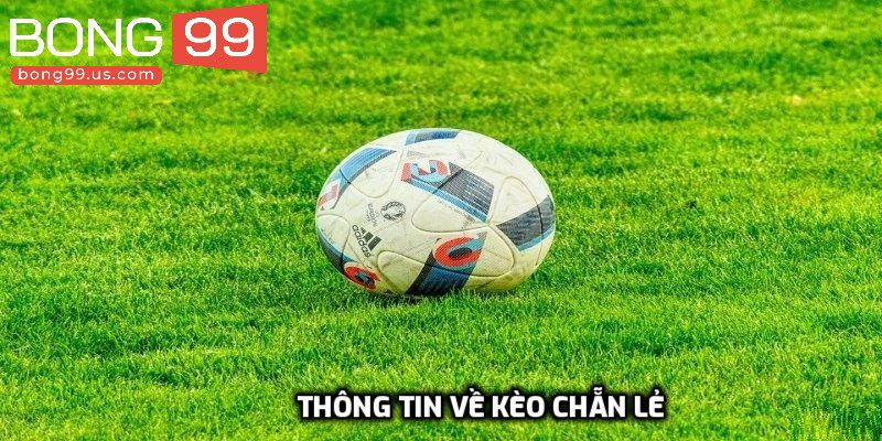 Thông tin về loại cược thú vị