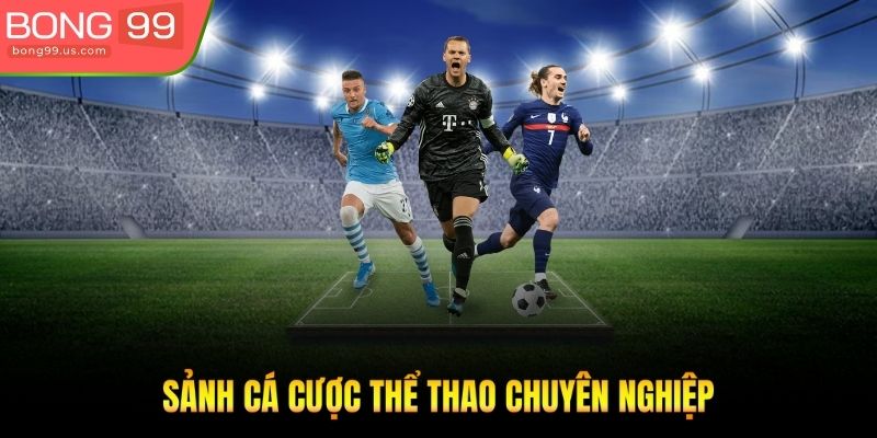 Sảnh cá cược thể thao chuyên nghiệp, nền tảng cốt lõi của nhà cái